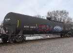 MTZX 330196